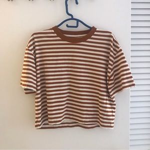 Everlane tripped cropped tee